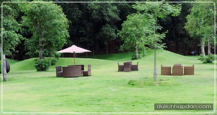 kinh nghiệm đi flamingo đại lải resort - đồi cỏ