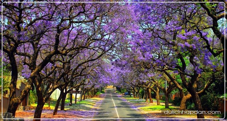 kinh nghiệm du lịch nam phi giao mùa đông sang xuân