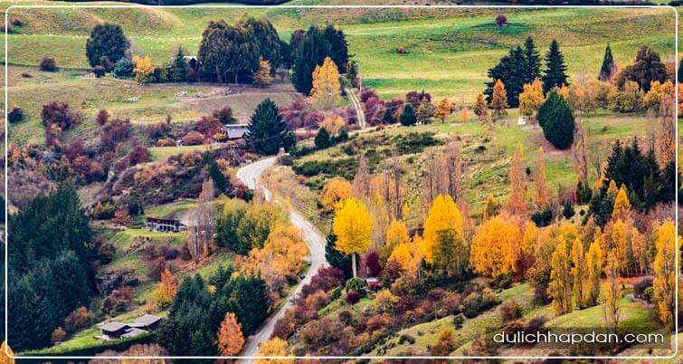 kinh nghiệm du lịch new zealand mùa thu