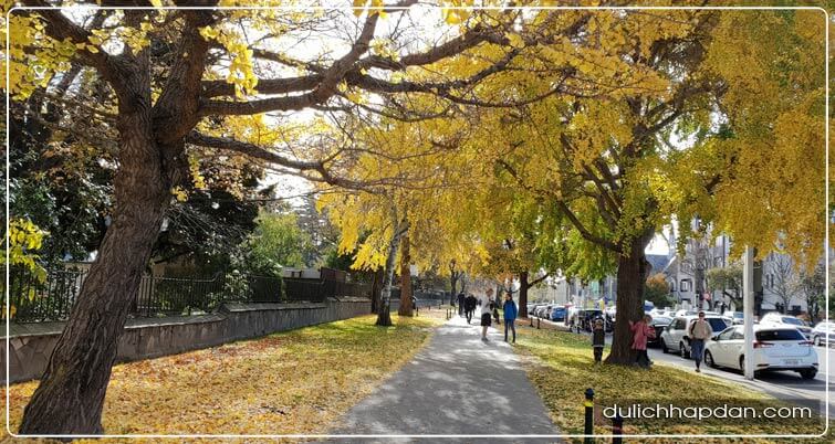 kinh nghiệm du lịch new zealand Thành phố vườn Christchurch