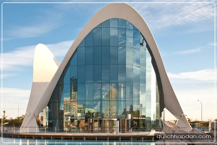 kinh nghiệm du lịch tây ban nha L’Oceanografic Aquarium