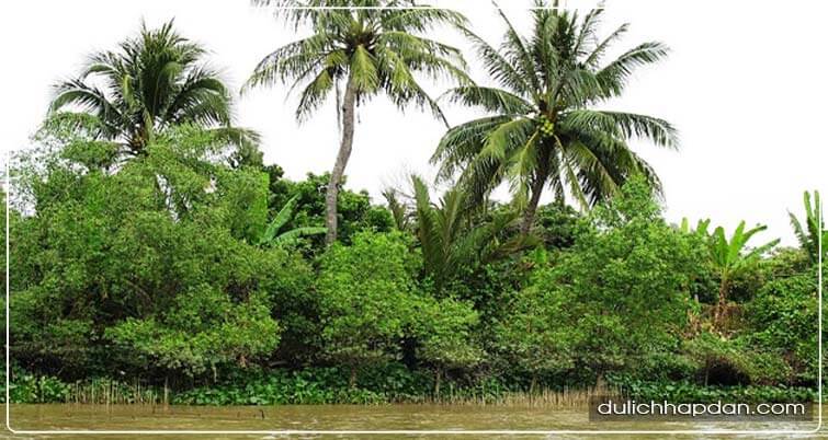 địa điểm du lịch bến tre cồn Quy