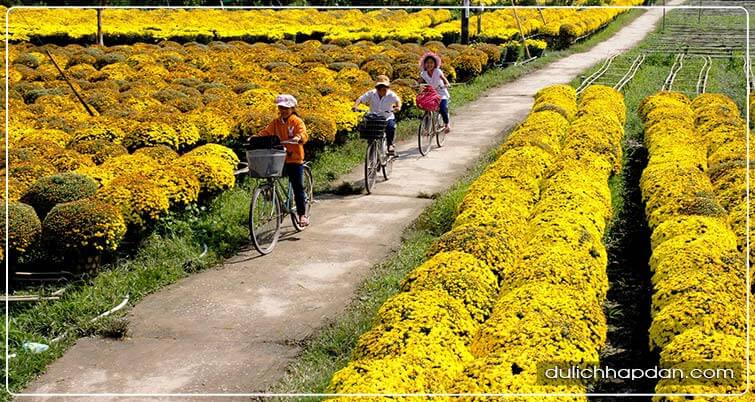 địa điểm du lịch bến tre làng hoa chợ lách